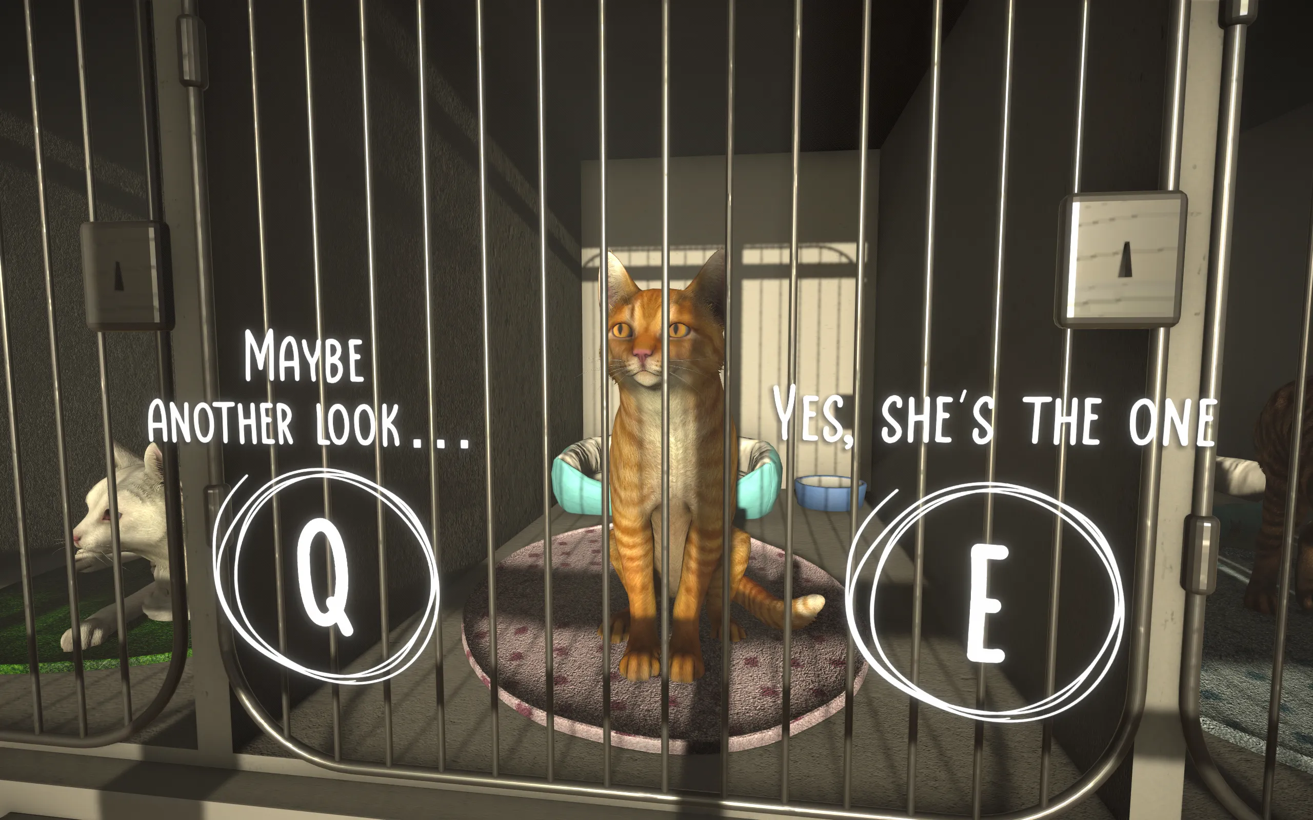 A cat sits in a kennel while text says "She's the one."