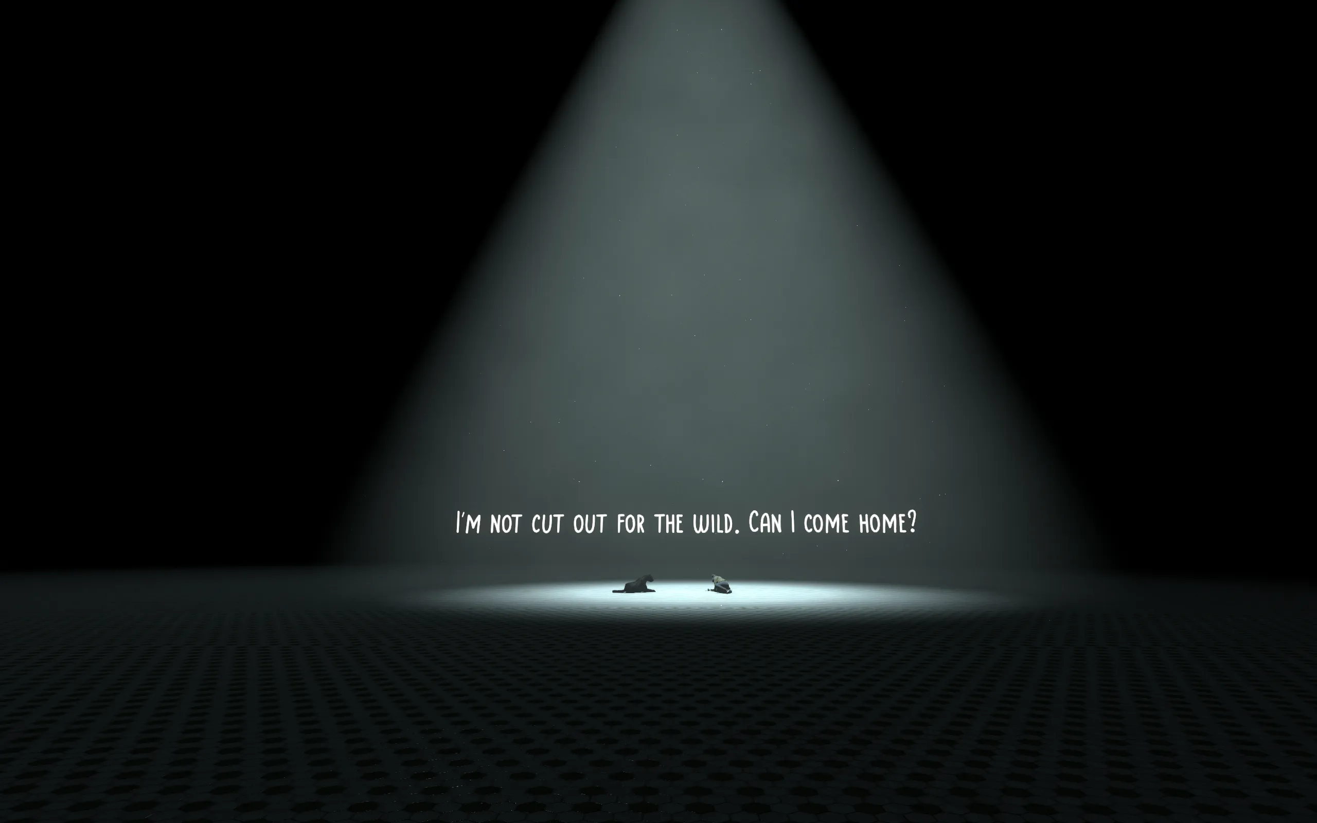 A spotlight shines on the words "I'm not cut out for the wild. Can I come home?"